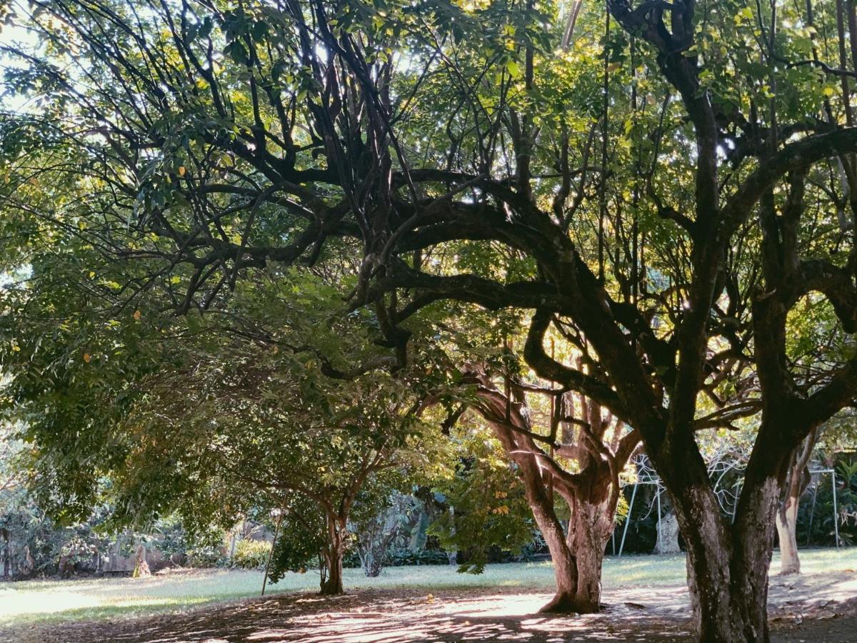 Hacienda Escondida 10min To Airport *